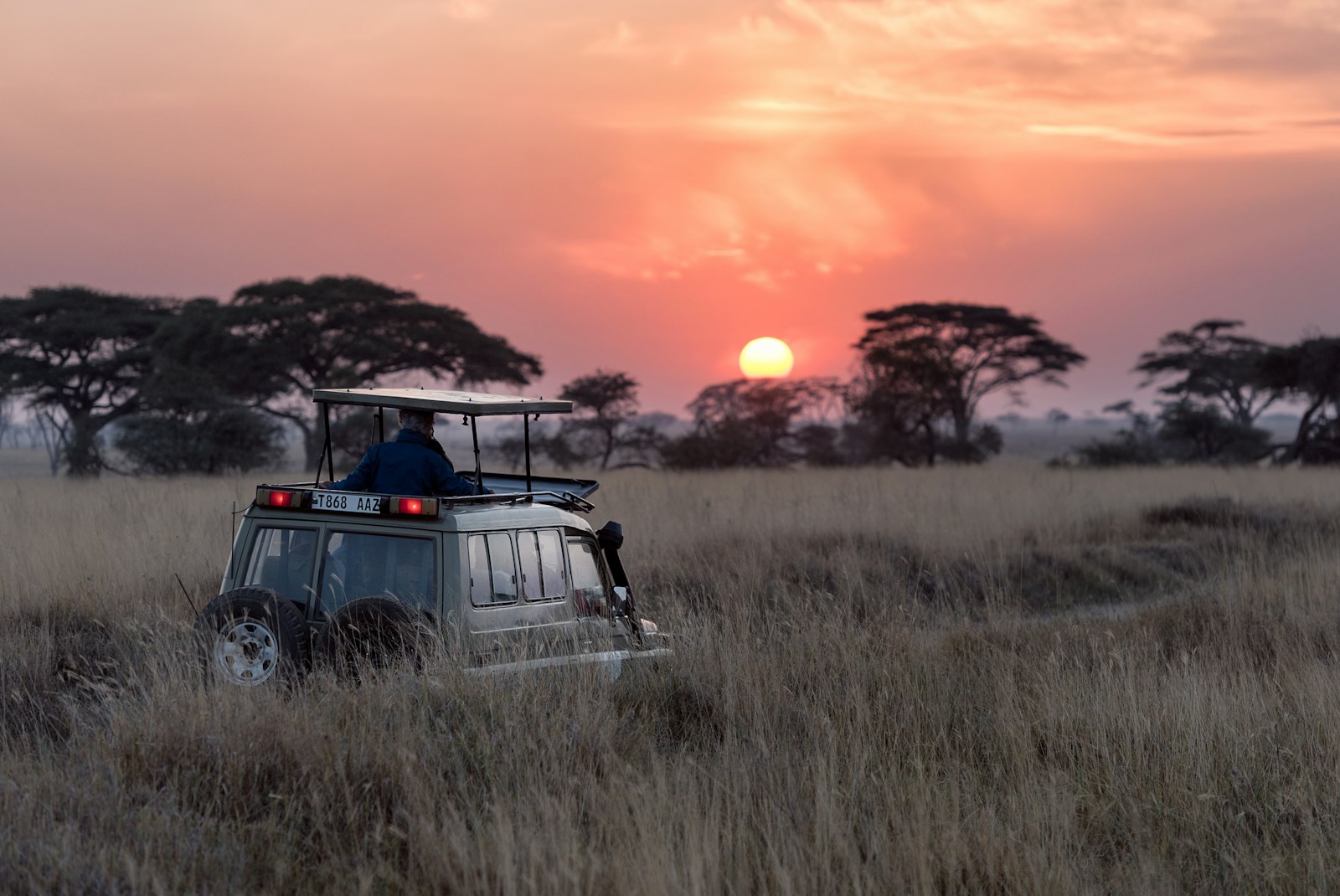 Game drives and local activities